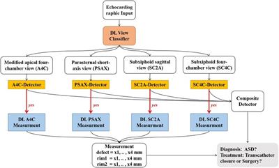 Echocardiography-based AI for detection and quantification of atrial septal defect